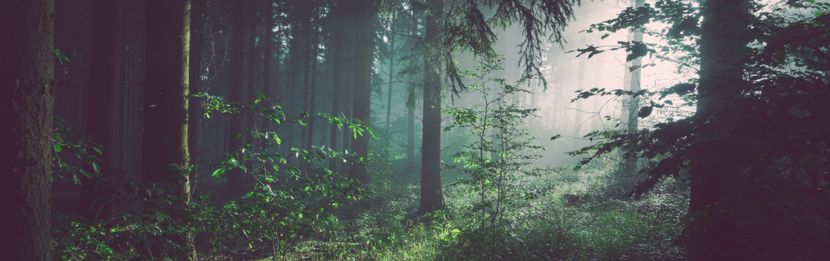 Photo by Sebastian Unrau on Unsplash